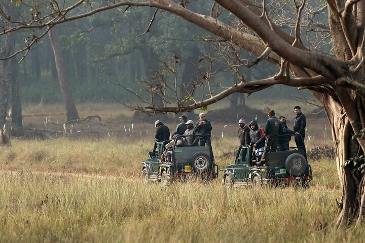 Wildlife and Nature reserves